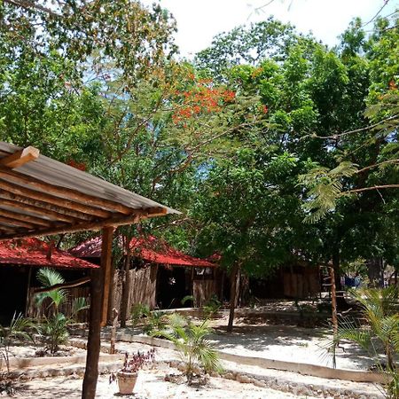 Хостел Soul Breeze Backpackers Diani Діані-Біч Екстер'єр фото
