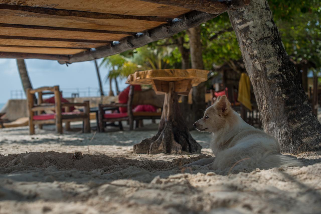 Хостел Soul Breeze Backpackers Diani Діані-Біч Екстер'єр фото
